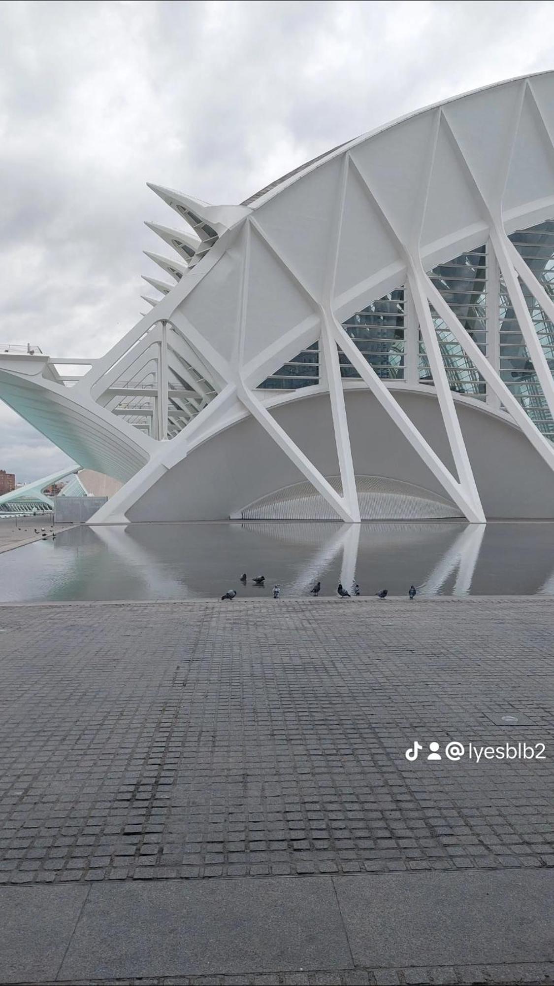 Lyesblb Aparthotel Valencia Luaran gambar