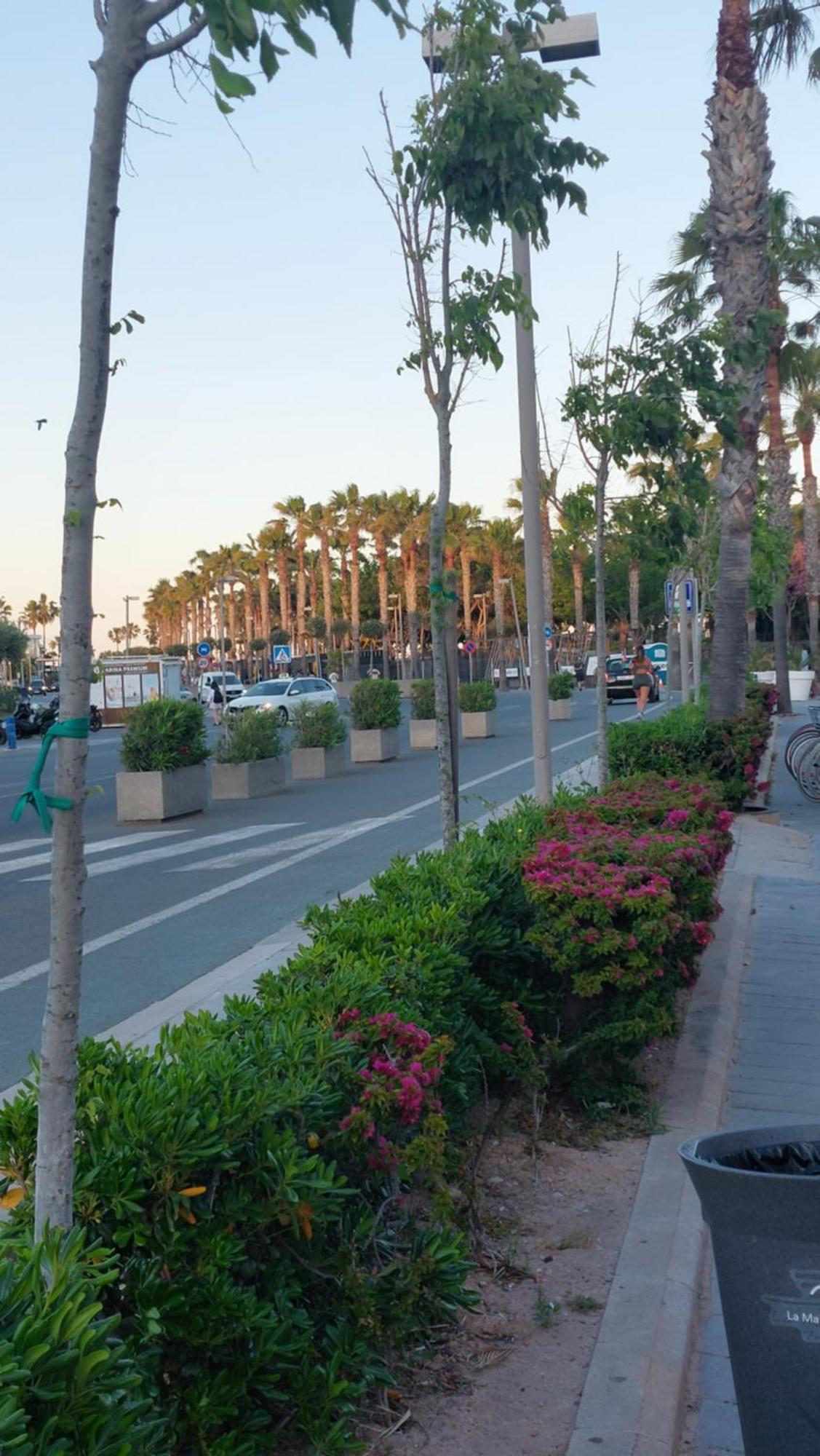 Lyesblb Aparthotel Valencia Luaran gambar