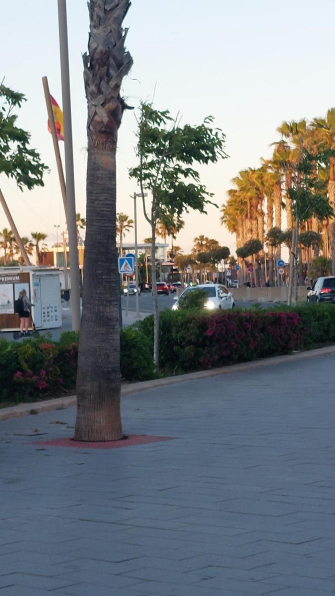 Lyesblb Aparthotel Valencia Luaran gambar