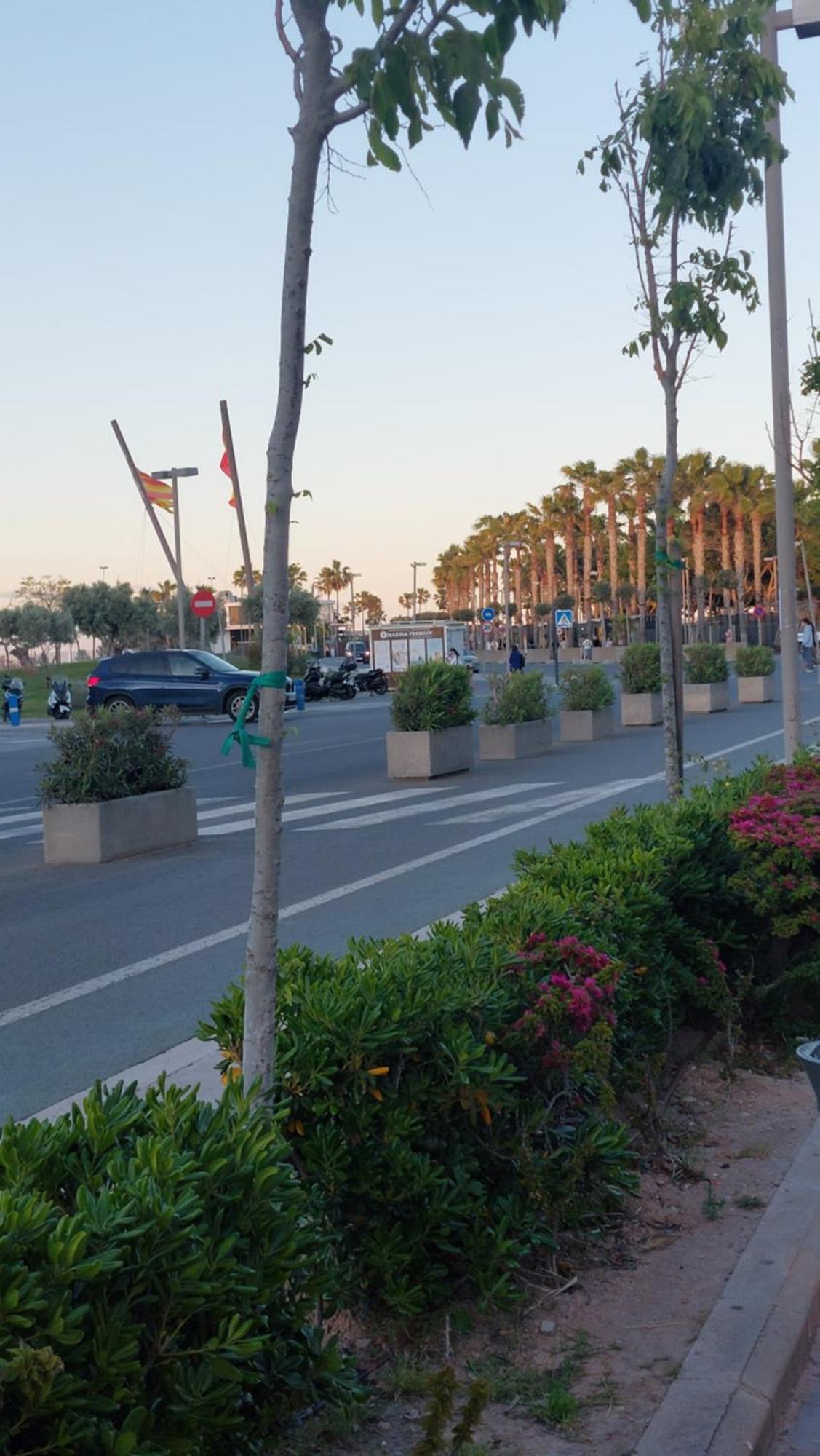 Lyesblb Aparthotel Valencia Luaran gambar