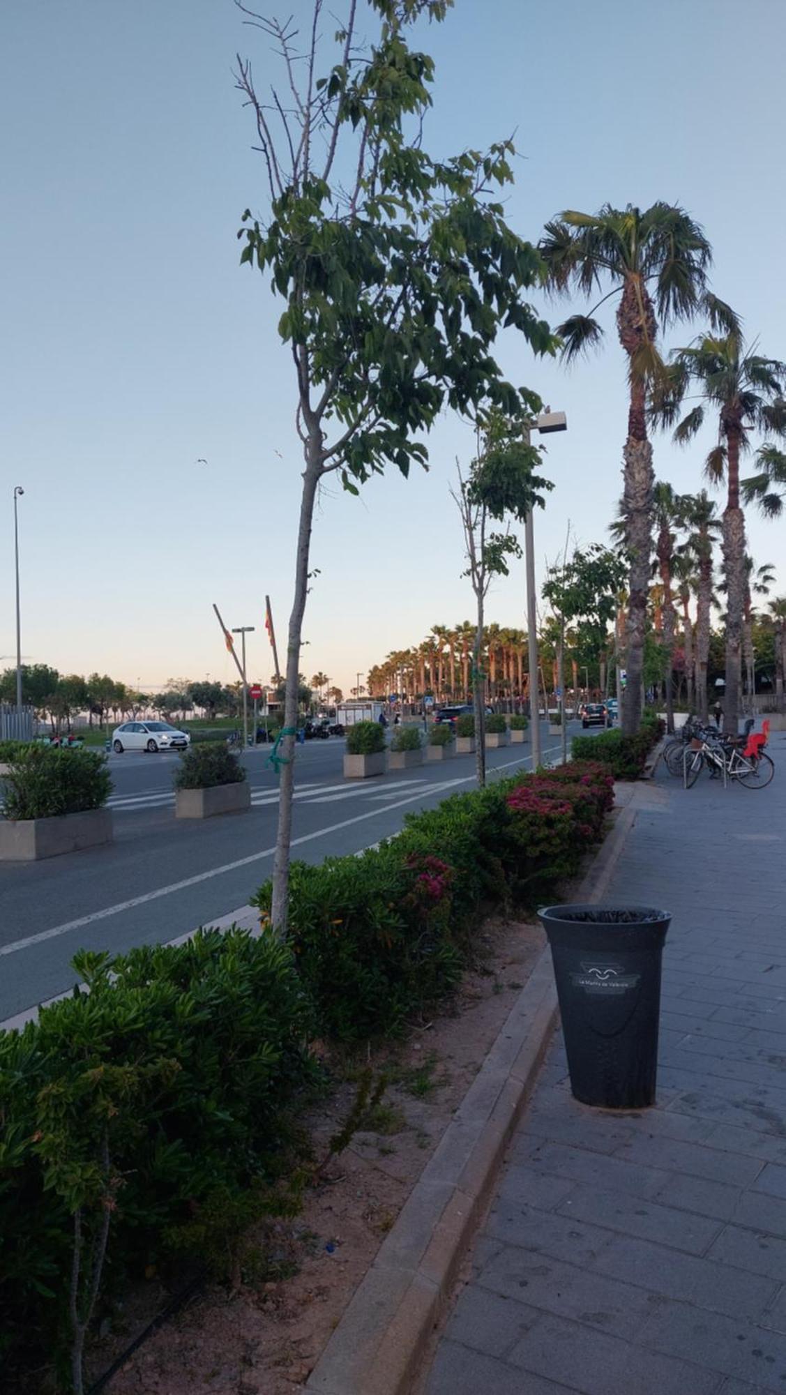 Lyesblb Aparthotel Valencia Luaran gambar